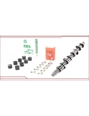Kit Réfection Arbre à Came Origine Poussoirs Renforcé 19 Tdi Ip